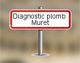 Diagnostic plomb AC Environnement à Muret